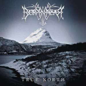 True North de Borknagar