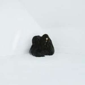 Hiss Spun de Chelsea Wolfe