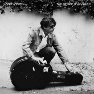 The Unseen In Between de Steve Gunn