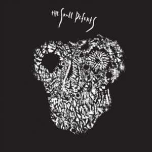 The Skull Defects de The Skull Defects