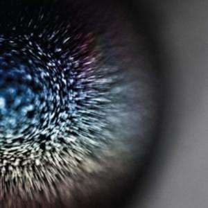 Blossoms de Emptyset