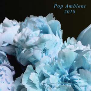 Pop Ambient 2018 de Various