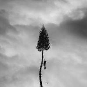 Manchester Orchestra: Black Mile To The Surface