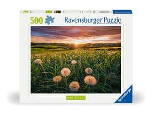 Adult puzzle 500 Teile - Pusteblumen im Sonnenuntergang