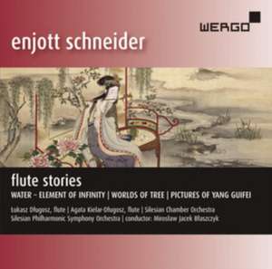 Flute Stories de Dlugosz/Blaszczyk/Silesian Philharmonic SO