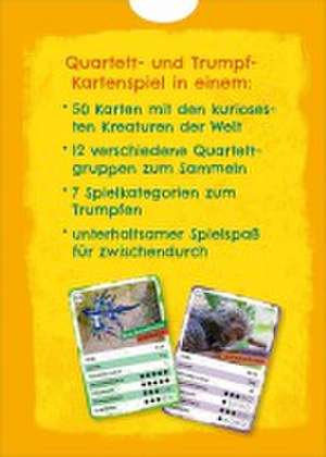 Das verrückte Quartett de Julia Buck