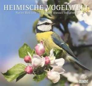 Heimische Vogelwelt 2025 - DUMONT Wandkalender - mit den wichtigsten Feiertagen - Format 38,0 x 35,5 cm de DUMONT Kalender