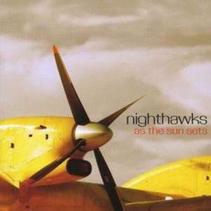 As the Sun Sets de Nighthawks