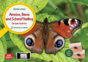 Ameise, Biene und Schmetterling. Unsere Insekten. Kamishibai Bildkarten und Memo-Spiel. de Monika Lehner