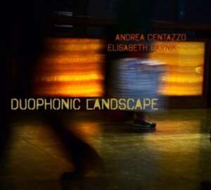Duophonic Landscape de Andrea/Harnik Centazzo