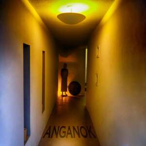 Anganok de The Residents