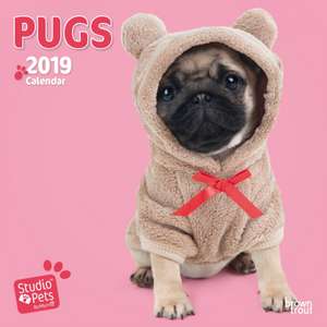 PUGS BY STUDIO P 2019 MINI WALL CALENDAR de BROWNTROUT UK