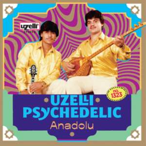 Uzelli Psychedelic Anadolu de Various