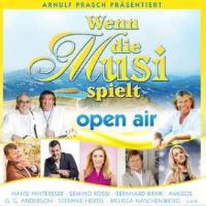 Wenn die Musi spielt-Sommer Open Air de Various