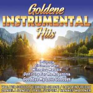 Goldene Instrumental Hits de Various