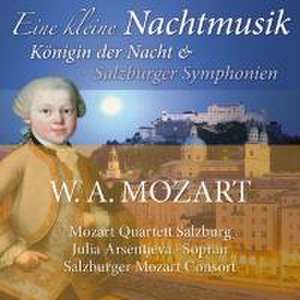 Eine kleine Nachtmusik de Mozart Quartett Salzburg