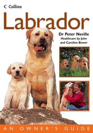 Labrador de Mr. Peter R. Neville