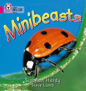BIG CAT - MINIBEASTS de Siobhan Hardy