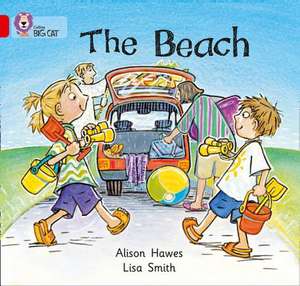 The Beach de Alison Hawes