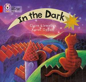 In the Dark de Claire Llewellyn