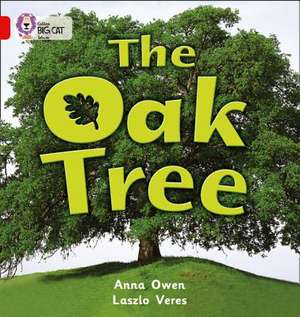 The Oak Tree de ANNA OWEN