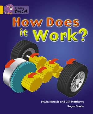 How Does It Work de Gill Matthews