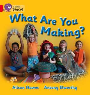 What Are You Making? de Alison Hawes