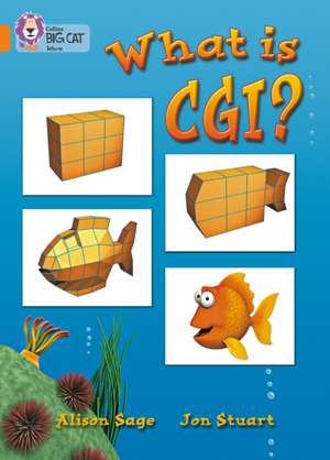 What Is CGI? de Alison Sage