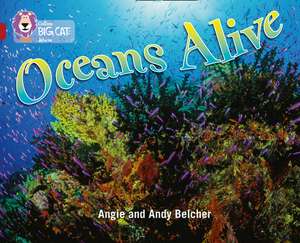BIG CAT - OCEANS ALIVE de Angie Belcher