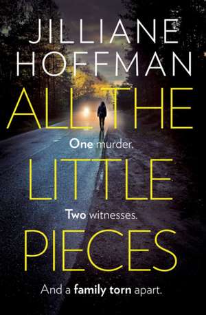 All the Little Pieces de Jilliane Hoffman