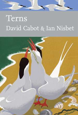 Terns de David Cabot