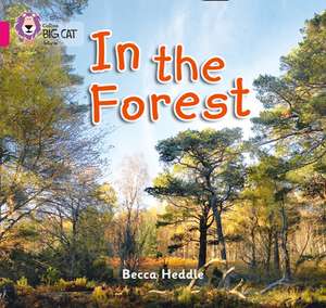 In the Forest de Becca Heddle