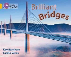 Brilliant Bridges de Kay Barnham