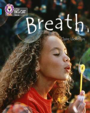 Llewellyn, C: Breath