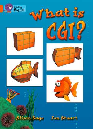 What Is CGI? Workbook de Alison Sage