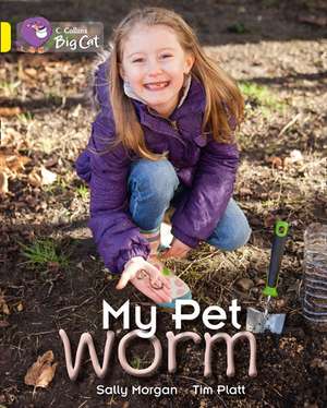 My Pet Worm de Sally Morgan