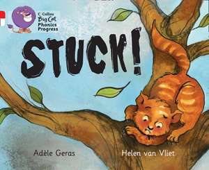 Stuck! de Adèle Geras