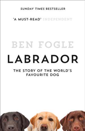 Fogle, B: Labrador