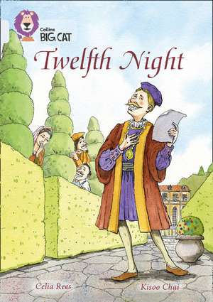 BIG CAT_TWELTH NIGHT de Celia Rees