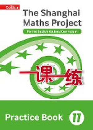 Shanghai Maths - The Shanghai Maths Project Practice Book Year 11: For the English National Curriculum de Lianhuo Fan