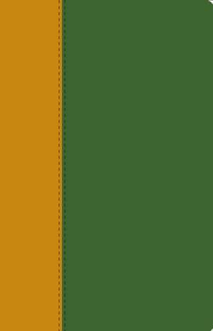 Holy Bible de Collins Anglicised ESV Bibles