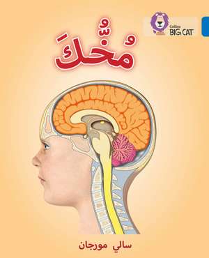 BIG CAT ARABIC - UR BRAIN de Sally Morgan