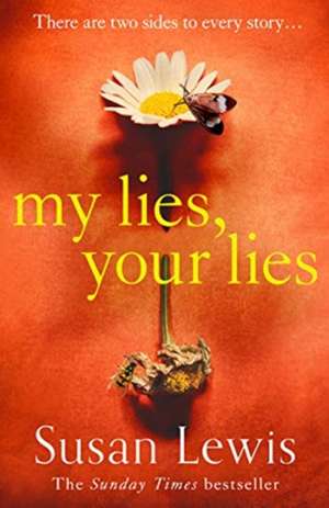 My Lies, Your Lies de Susan Lewis