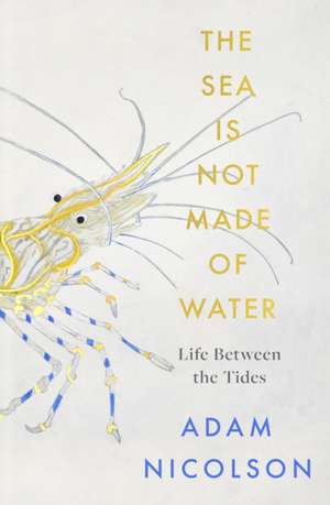 The Sea is Not Made of Water de Adam Nicolson