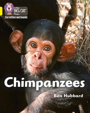 Hubbard, B: Chimpanzees de Ben Hubbard