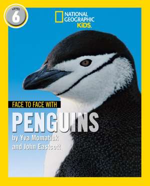 Face to Face with Penguins de John Eastcott