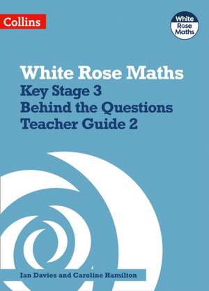 Secondary Maths Behind the Questions 2 de Caroline Hamilton