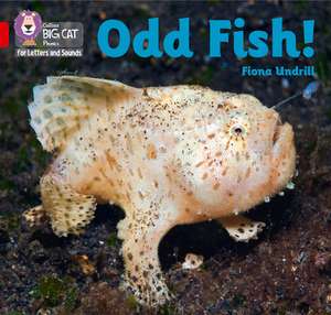 Odd Fish! de Fiona Undrill