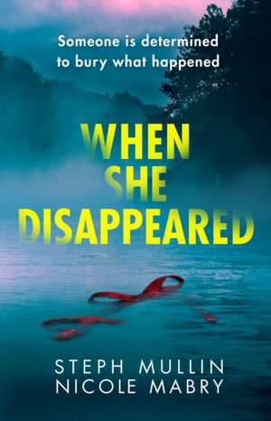 When She Disappeared de Nicole Mabry