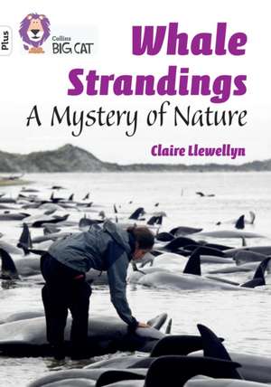 Whale Strandings: A Mystery of Nature de Claire Llewellyn